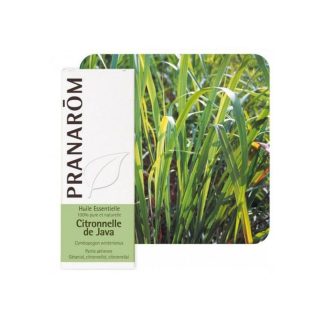 Pranarom Eterično Ulje Citronela de Java